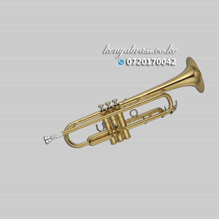 Cornet Repair Services in Nairobi, Kenya
